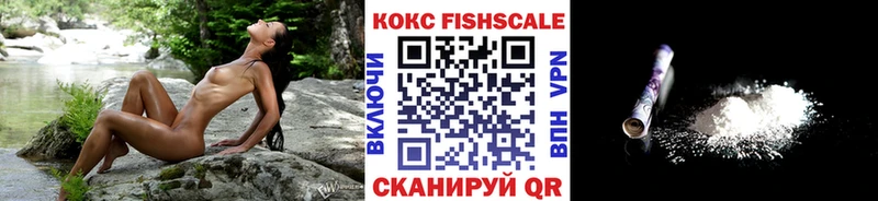 Cocaine Fish Scale  купить наркоту  Шилка 