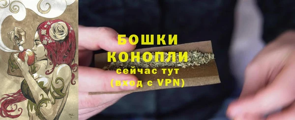 не бодяженный Дмитриев