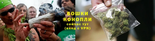 не бодяженный Дмитриев